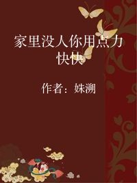 小说《家里没人你用点力 快快》封面图片