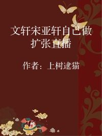 小说《文轩宋亚轩自己做扩张直播》封面图片