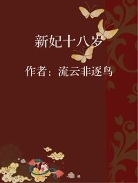 小说《新妃十八岁》封面图片