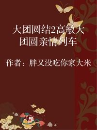 小说《大团圆结2高敏大团圆亲情列车》封面图片