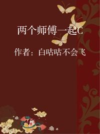 小说《两个师傅一起C》封面图片
