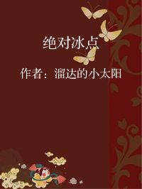 小说《绝对冰点》封面图片