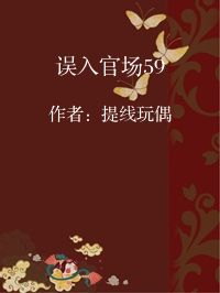小说《误入官场59》封面图片