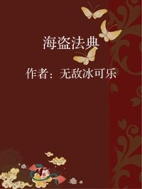 小说《海盗法典》封面图片