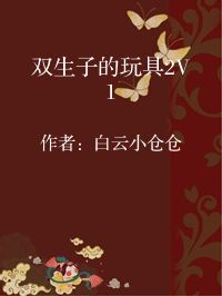 小说《双生子的玩具2V1》封面图片