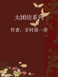 小说《太团结系列》封面图片