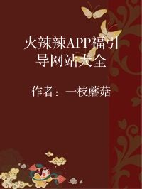 小说《火辣辣APP福引导网站大全》封面图片