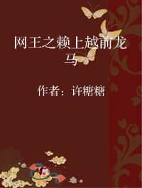 小说《网王之赖上越前龙马》封面图片