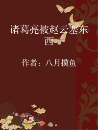 小说《诸葛亮被赵云塞东西》封面图片