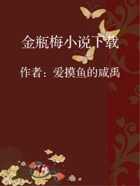 小说《金瓶梅小说下载》封面图片