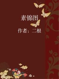 小说《素锦图》封面图片
