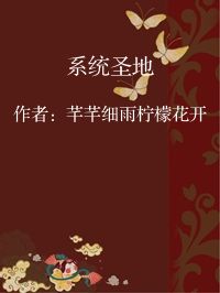 小说《系统圣地》封面图片