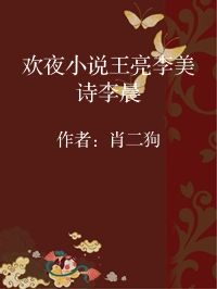 小说《欢夜小说王亮李美诗李晨》封面图片