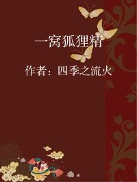 小说《一窝狐狸精》封面图片