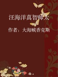 小说《汪海洋真智师太》封面图片