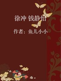 小说《徐冲 钱静怡》封面图片