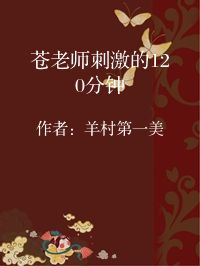 小说《苍老师刺激的120分钟》封面图片