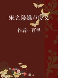 小说《宋之枭雄卢俊义》封面图片