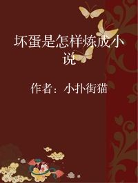 小说《坏蛋是怎样炼成小说》封面图片