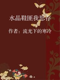 小说《水晶鞋匪我思存》封面图片
