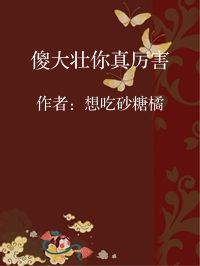 小说《傻大壮你真厉害》封面图片