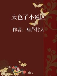 小说《太色了小说区》封面图片