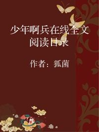 小说《少年啊兵在线全文阅读目录》封面图片