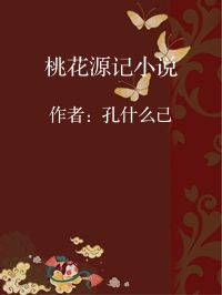 小说《桃花源记小说》封面图片