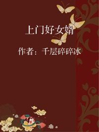 小说《上门好女婿》封面图片