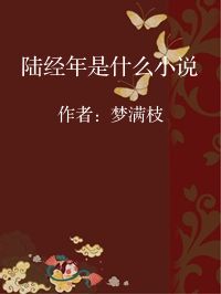小说《陆经年是什么小说》封面图片