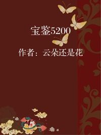 小说《宝鉴5200》封面图片