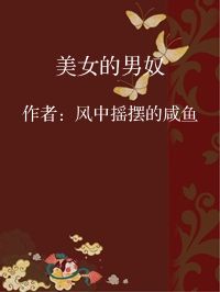 小说《美女的男奴》封面图片