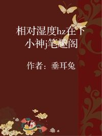 小说《相对湿度hz在下小神j笔趣阁》封面图片