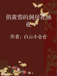 小说《俏黄蓉的洞房花烛夜》封面图片