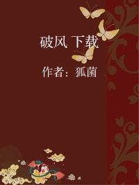 小说《破风 下载》封面图片
