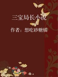 小说《三宝局长小说》封面图片