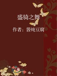 小说《盛骑之舞》封面图片