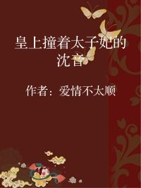 小说《皇上撞着太子妃的沈音》封面图片