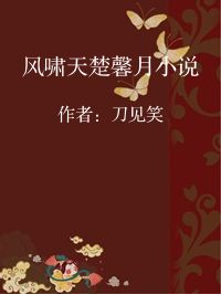 小说《风啸天楚馨月小说》封面图片
