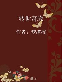 小说《转世奇缘》封面图片