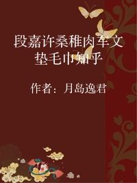 小说《段嘉许桑稚肉车文垫毛巾知乎》封面图片