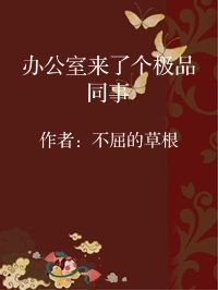 小说《办公室来了个极品同事》封面图片