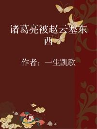 小说《诸葛亮被赵云塞东西》封面图片