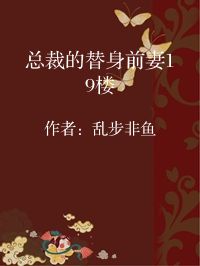 小说《总裁的替身前妻19楼》封面图片