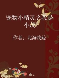 小说《宠物小精灵之我是小茂》封面图片