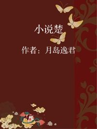 小说《小说楚》封面图片