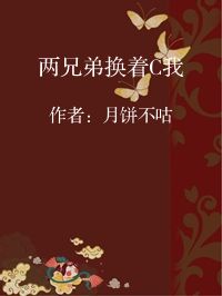 小说《两兄弟换着C我》封面图片