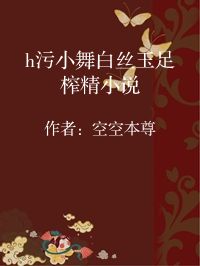 小说《h污小舞白丝玉足榨精小说》封面图片