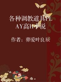 小说《各种调教道具PLAY高H小说》封面图片