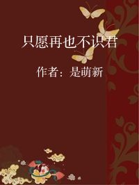 小说《只愿再也不识君》封面图片